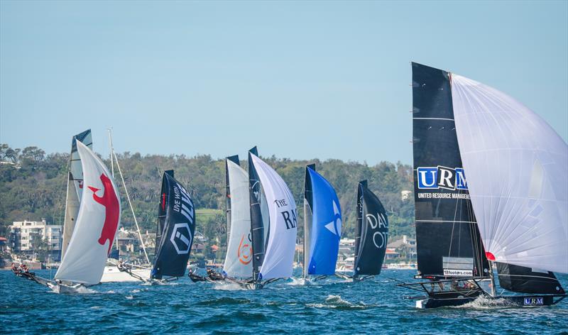 © John Chittenden: 18ft Skiffs racing at the JJ Giltinan on Sydney Harbour