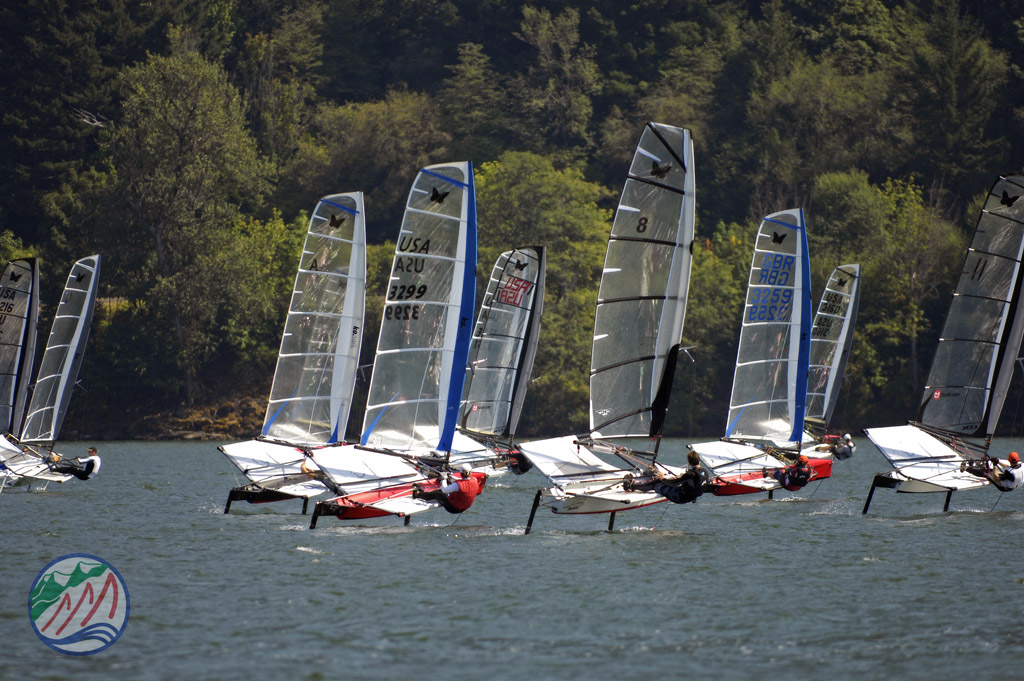 foiling moth start